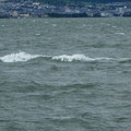 973-2.jpg