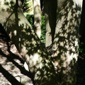 975-3.jpg