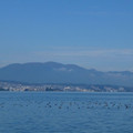 1008-1.jpg
