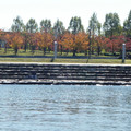 1008-3.jpg
