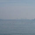 1009-1.jpg