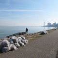 1009-2.jpg
