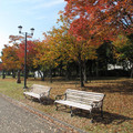 1009-3.jpg