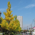 1010-1.jpg