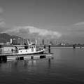 1011-2.jpg