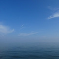 1014-1.jpg