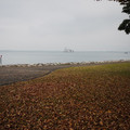 1015-2.jpg
