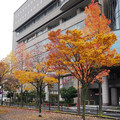 1015-3.jpg