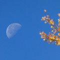 1017-1.jpg
