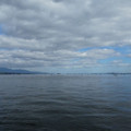 1019-1.jpg