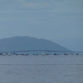 1019-2.jpg