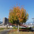 1022-2.jpg