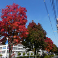 1022-3.jpg