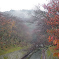 1025-1.jpg