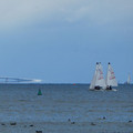 1026-2.jpg
