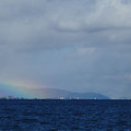 1026-3.jpg