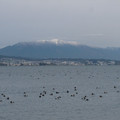 1027-1.jpg