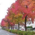 1029-2.jpg