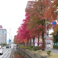 1029-3.jpg