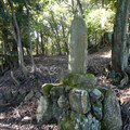 1031-1.jpg
