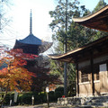 1031-2.jpg