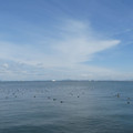 1032-1.jpg