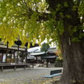 1033-1.jpg