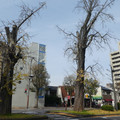 1033-3.jpg
