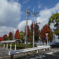 1034-1.jpg