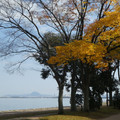 1034-2.jpg