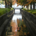 1034-3.jpg