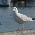 1035-1.jpg