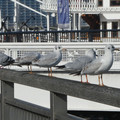 1035-2.jpg