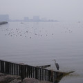 1036-2.jpg