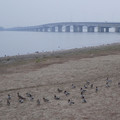 1036-3.jpg