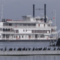 1037-1.jpg