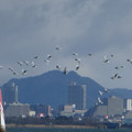 1071-2.jpg