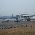 1073-1.jpg