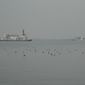 1074-3.jpg