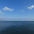 1077-1.jpg