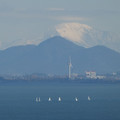1081-1.jpg