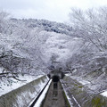 1082-1.jpg