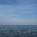 1084-2.jpg