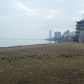 1084-3.jpg