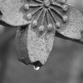 1085-2.jpg