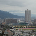 1090-1.jpg