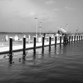 1091-1.jpg
