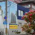 1091-3.jpg