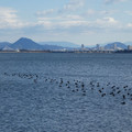 1092-2.jpg