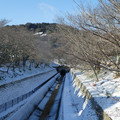 1093-1.jpg